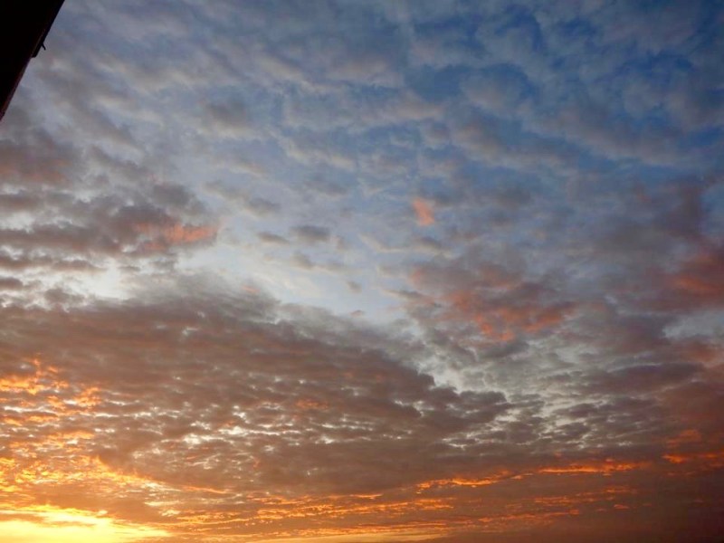 IMG_MayaAngelouSky (1)